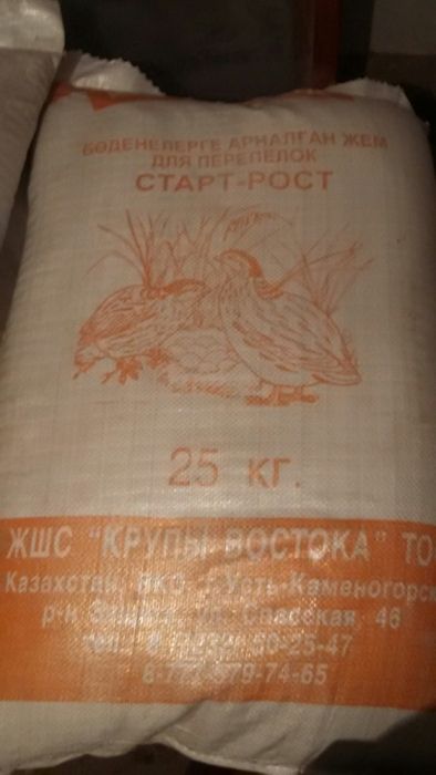 Бодене жеми район сатпаева