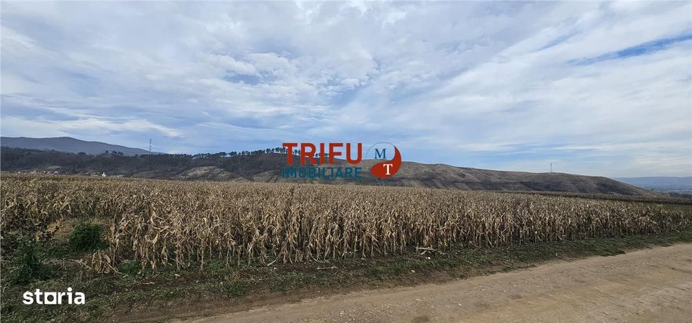 Teren Extravilan în Zona Paclisa, Alba Iulia 3400mp