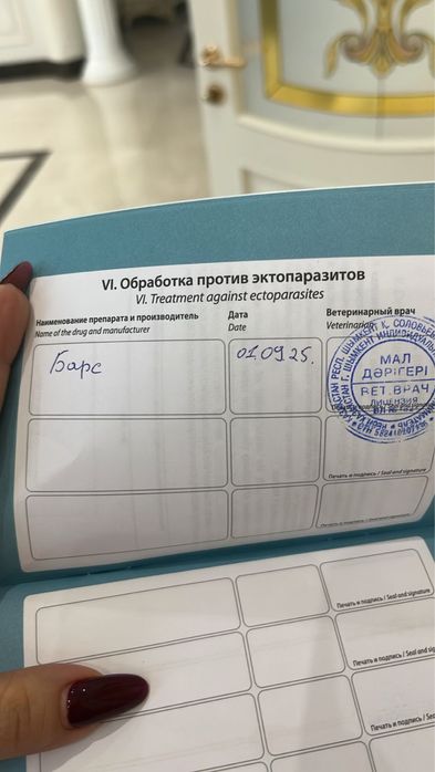 Продается мальтипу
