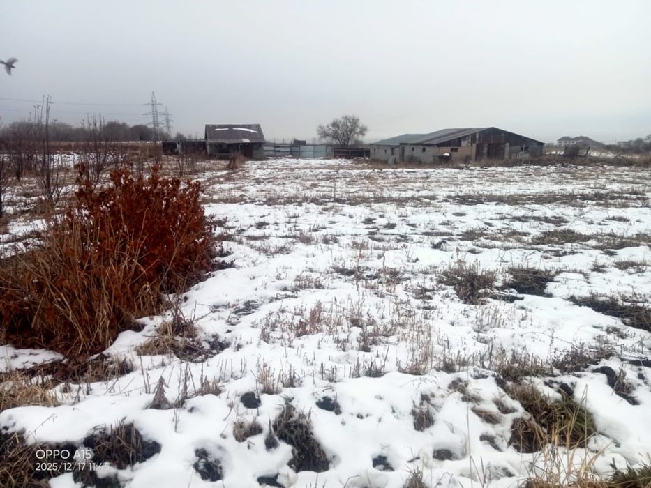 Фазенда продается