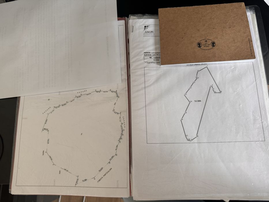 Vand padure 10 ha Damuc