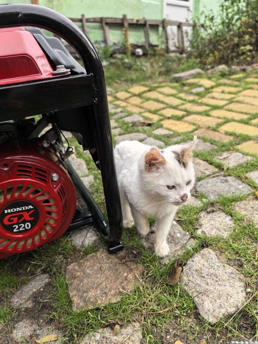 Генерятор 3 фазен монофазен Honda ECMT 7000 Чисто нов