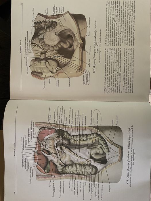 Carti Anatomia omului
