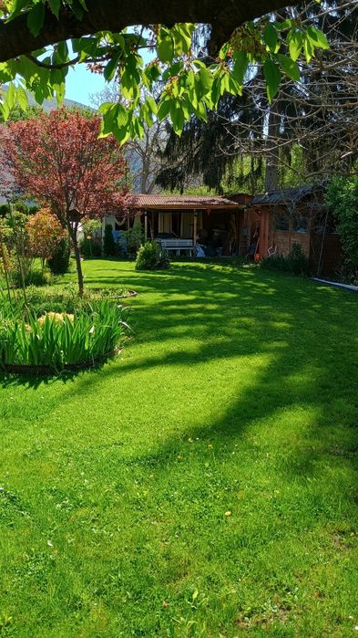 Косене и поддръжка на зелени площи