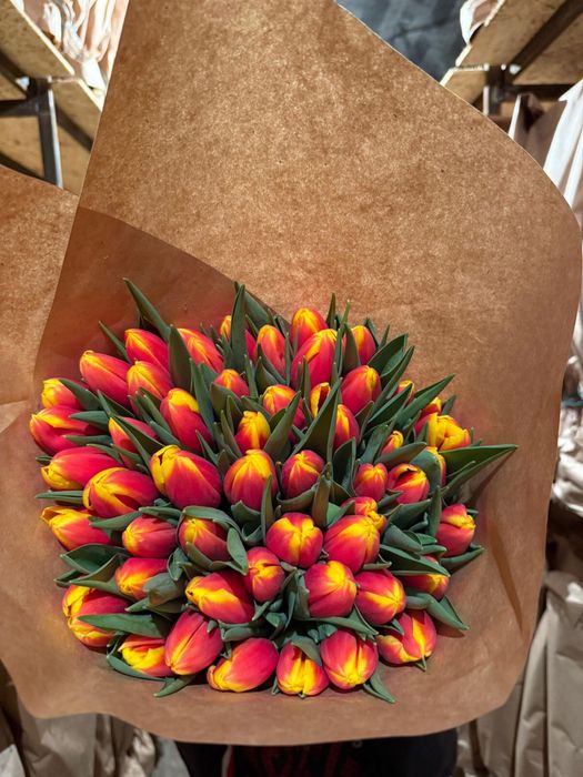 Тюльпаны по низким ценам