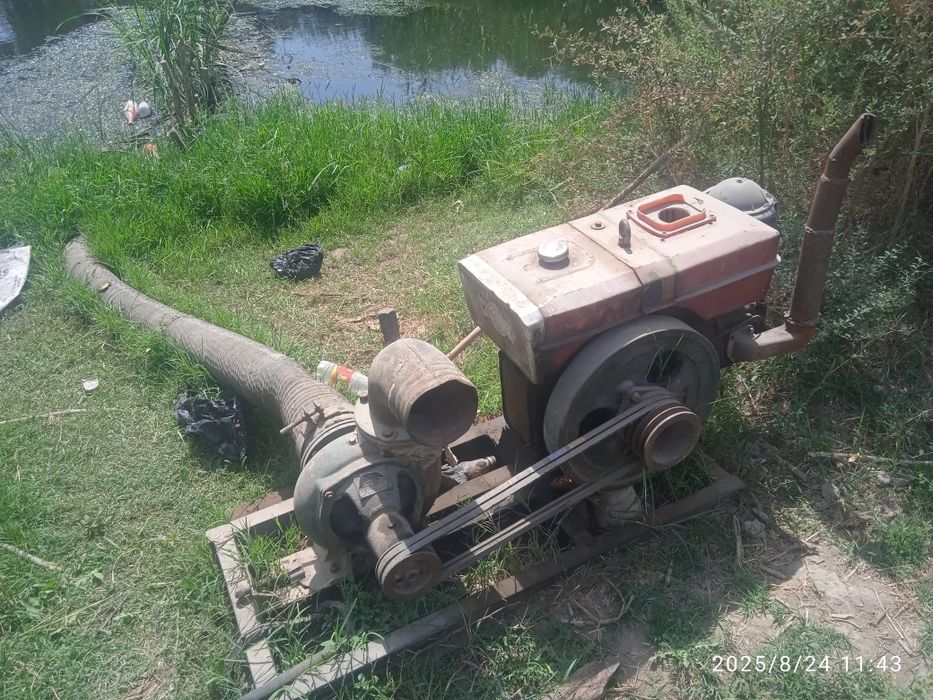 Salarka Nasos Sotiladi