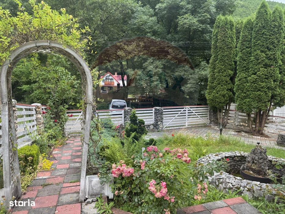 Cabana autentica de munte Frasinet - Baisoara 600 mp teren