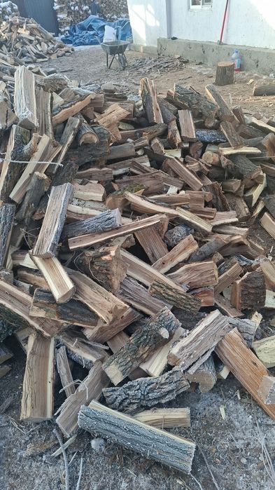 Дрова карагач продаю
