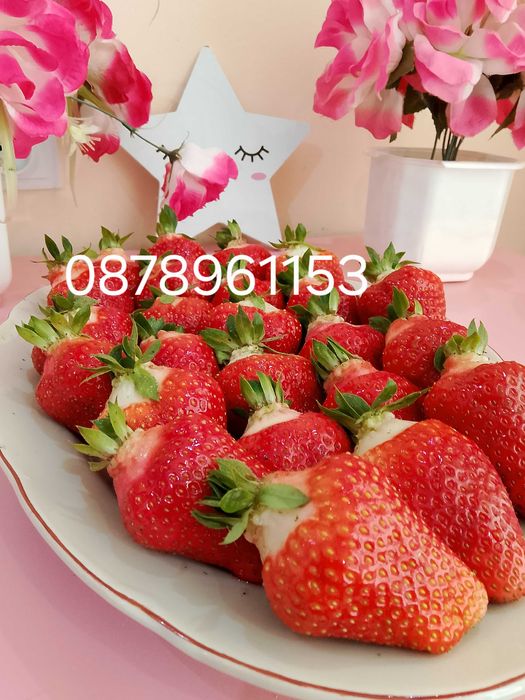 Разсад ягоди и малини