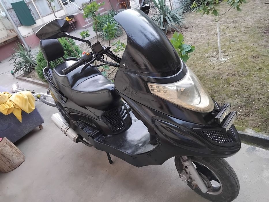 IRBIS Sukutir sirochna sotiladi 150kub