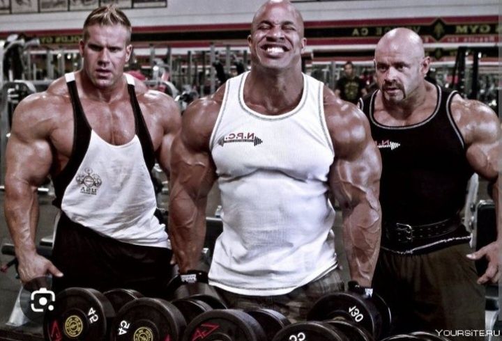 Бригада Грузчиков 24/7