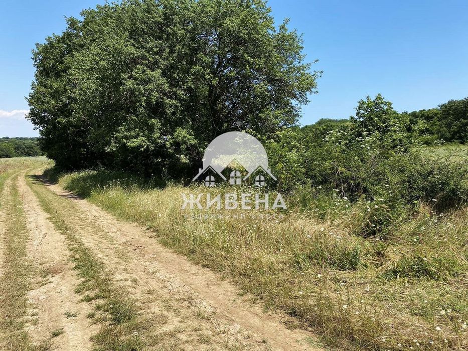 Парцел в м-т Перчемлията, с.о. Черноморска панорама, площ 9912 кв.м