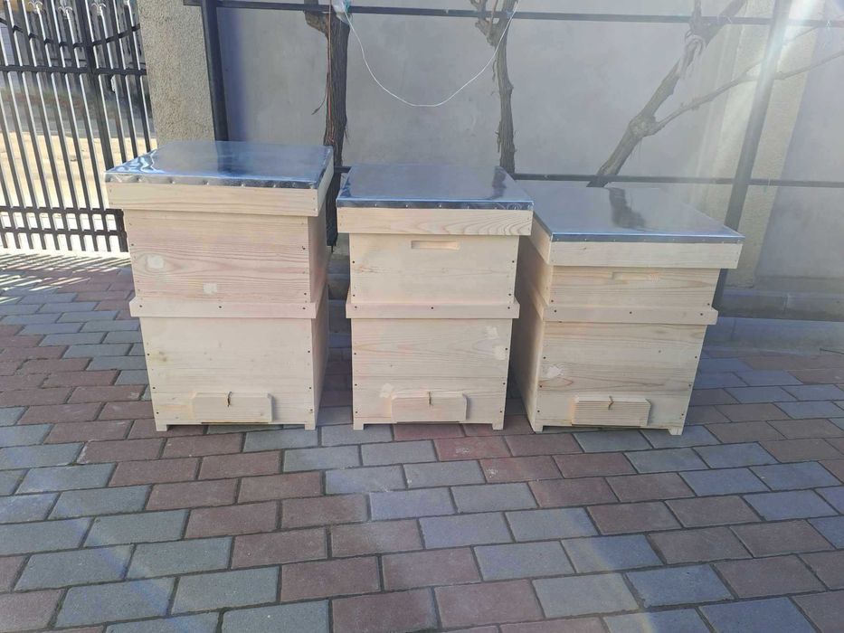 Rame tei stupi insarmate,stupi lazi,hranitoare albine-DOLJ