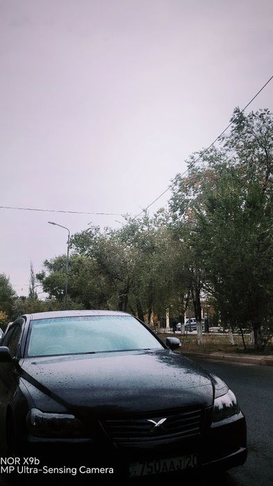 Toyota mark X 2007