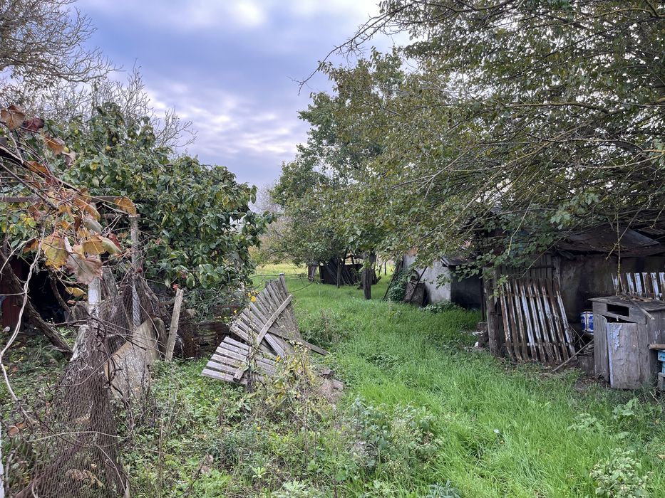 Продава се Къща в Добрич, Център - 100 кв.м за 281 €/кв.м - Снимка #8