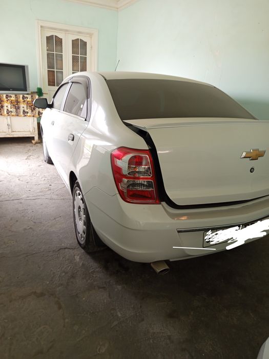 янгидай турибти,