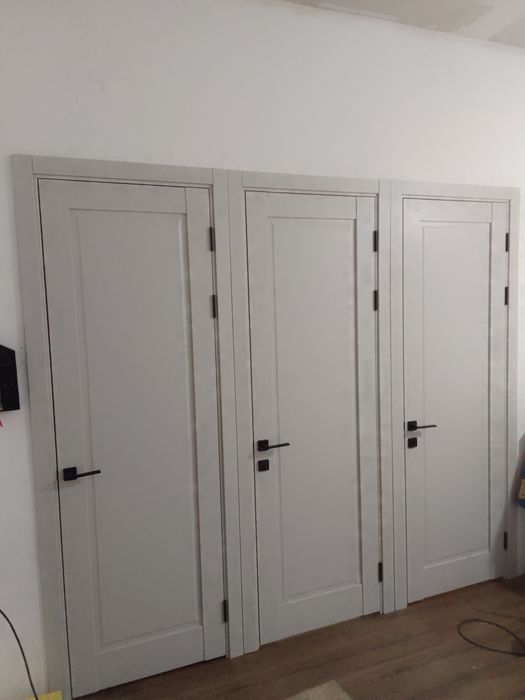 Установка дверей.