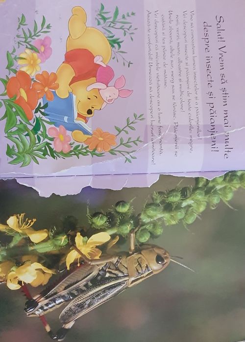 4 volume Colecția Prima mea enciclopedie