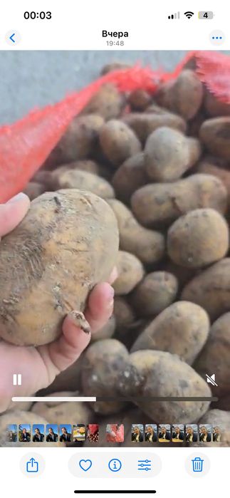 Продам картофель 2 сорт Нелеквид