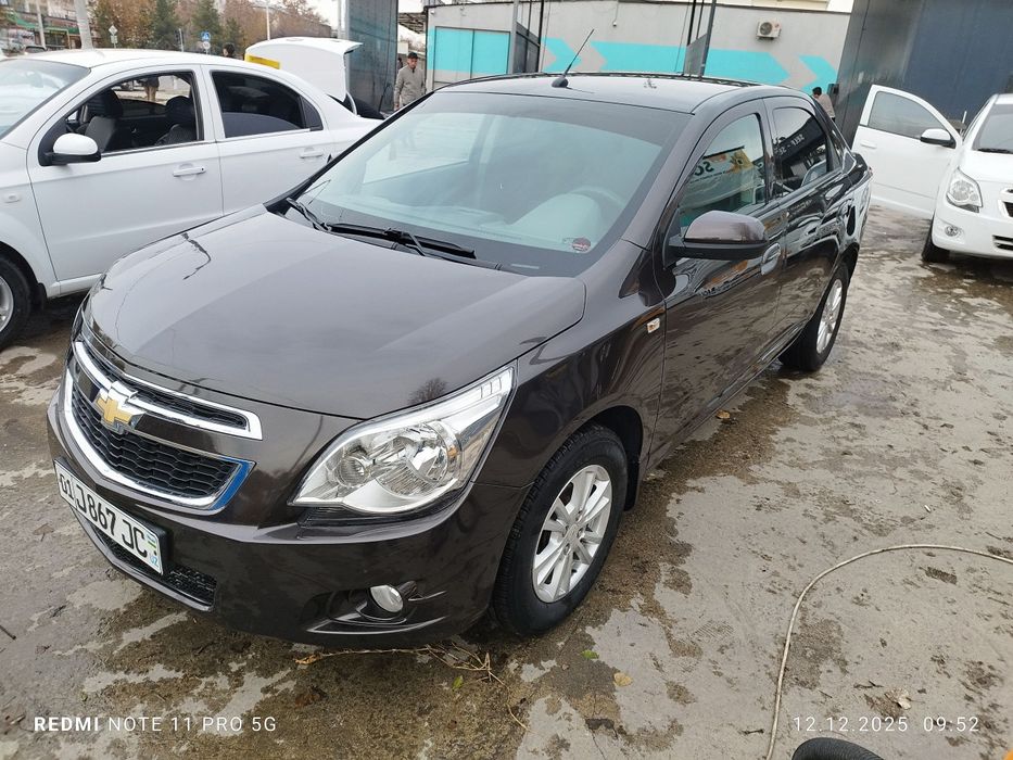 2021 краска тозза