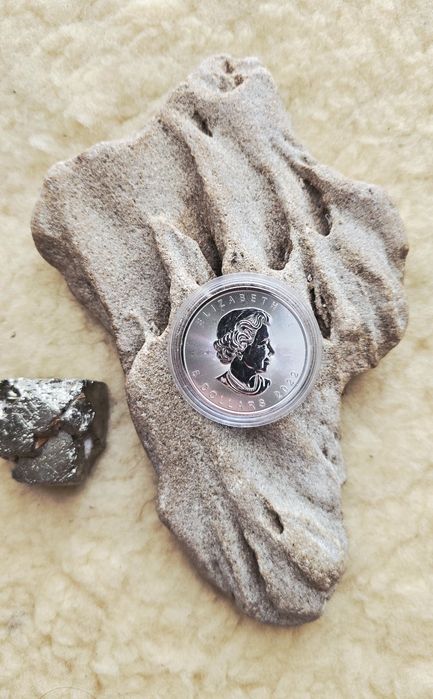 Maple Leaf Canadian 2023 -