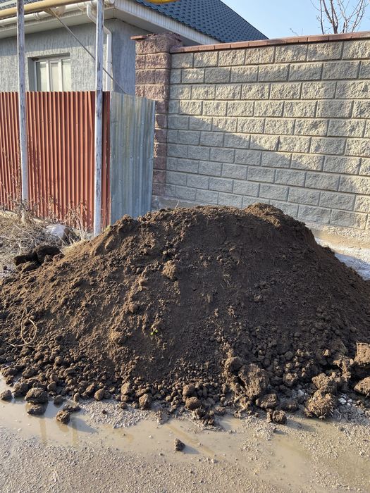 Чернозем,перегной