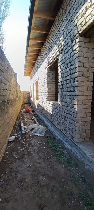 Tashkent tuman keles Navoyi