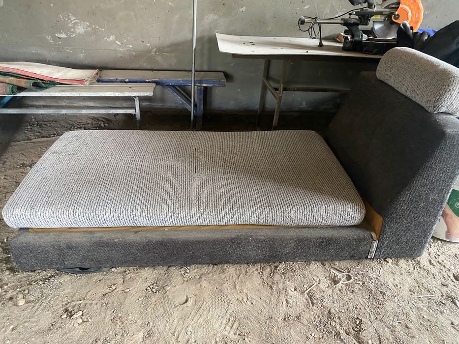 Отдам даром срочно