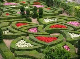 Живая Изгород и Бюричина