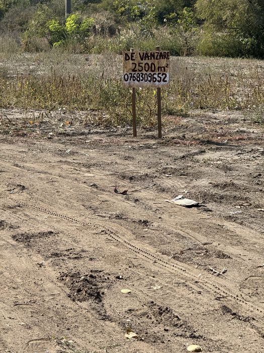 Teren de vanzare