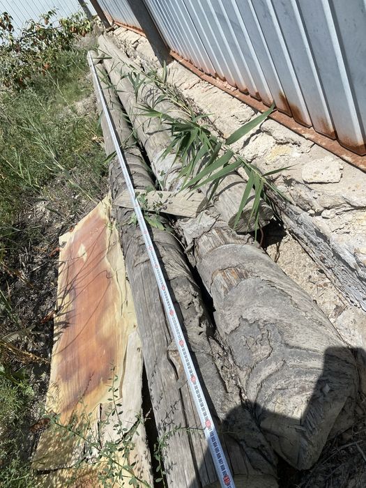 Томар ағаш,кругляк дерево