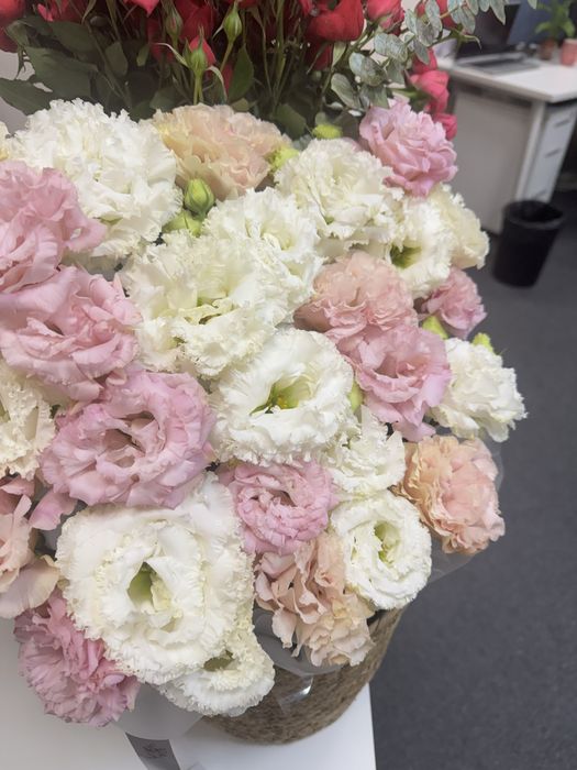 Цветы отдам за 10000 тг