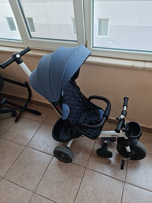 Триколка Chipolino Pegas