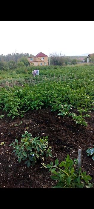 Продам участок земли с домиком