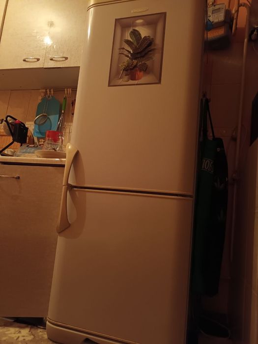 Холодилник БИРЮСА