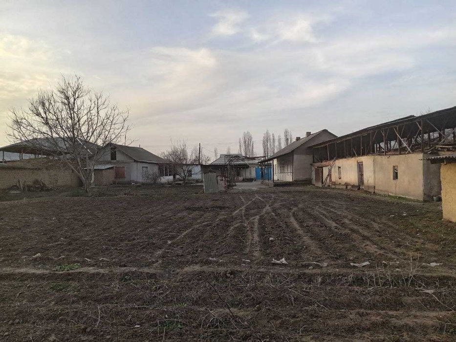 UY sotaman,Yashash uchun qulay asfalt ko'chada