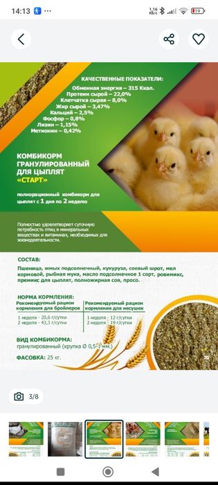 Богдановичский комбикорм