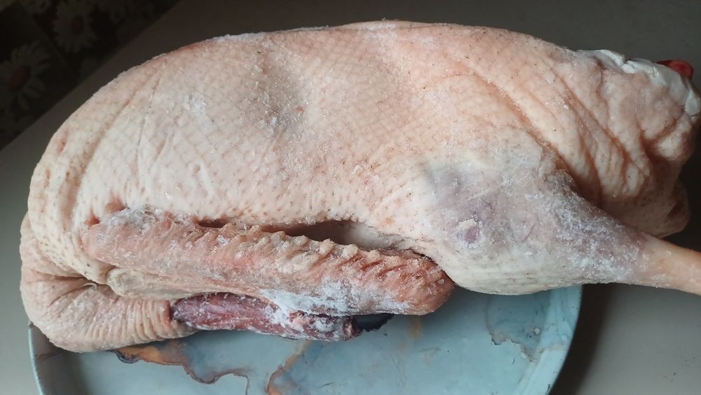 Домашние молодые гуси мясо