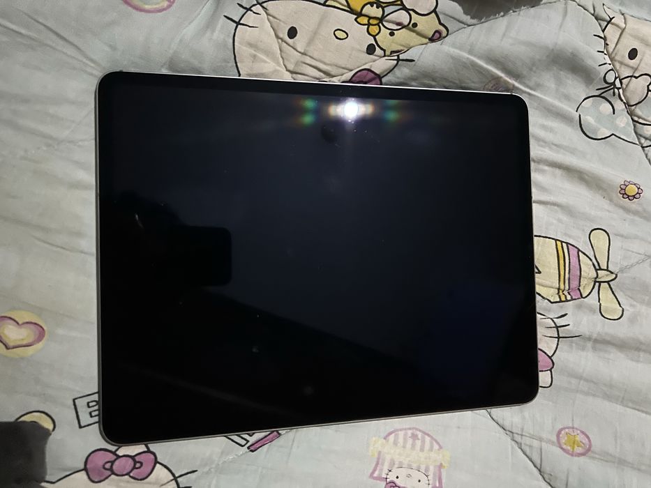 Ipad pro 12.9 M2
