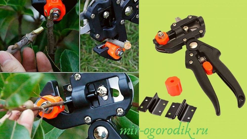 Секатор Прививочный профессиональный payvand uchun qaychi