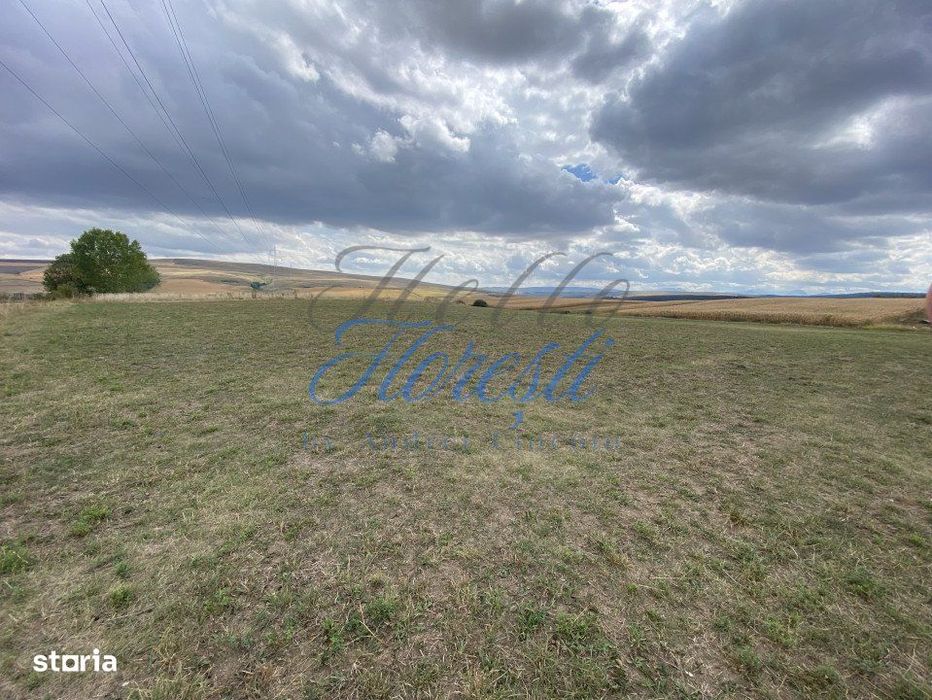 Teren de 1833 mp sat rediu