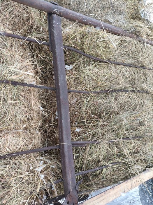 Шөп. Құркөл ауыл маңында