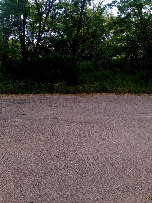 Vând 2  terenuri extravilane