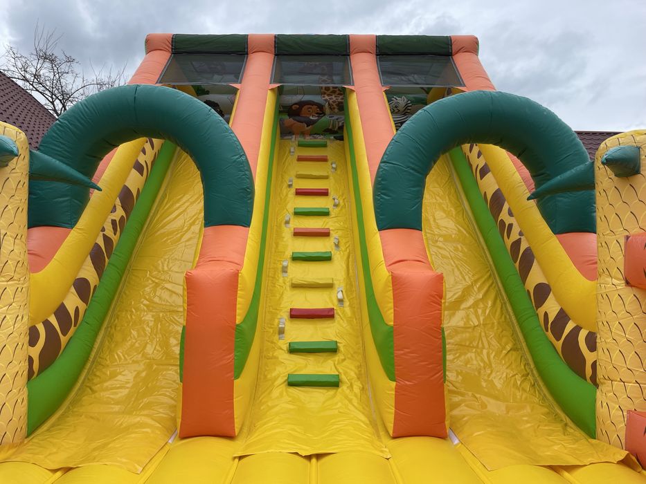 Tobogane Gonflabile de Închiriat  cu animăluțe!
