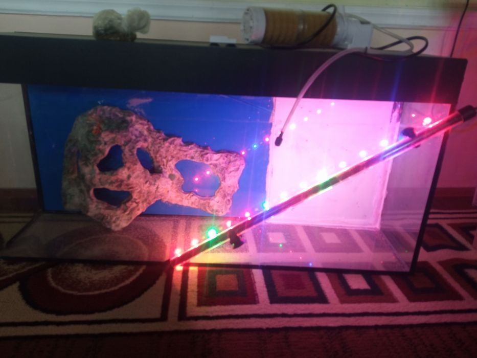 Xajmi:Akvarium 80 litr