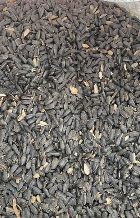 Семечки для корма