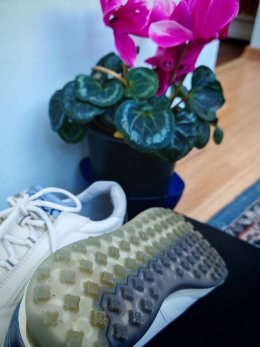 Adidași ecco mărimea 37