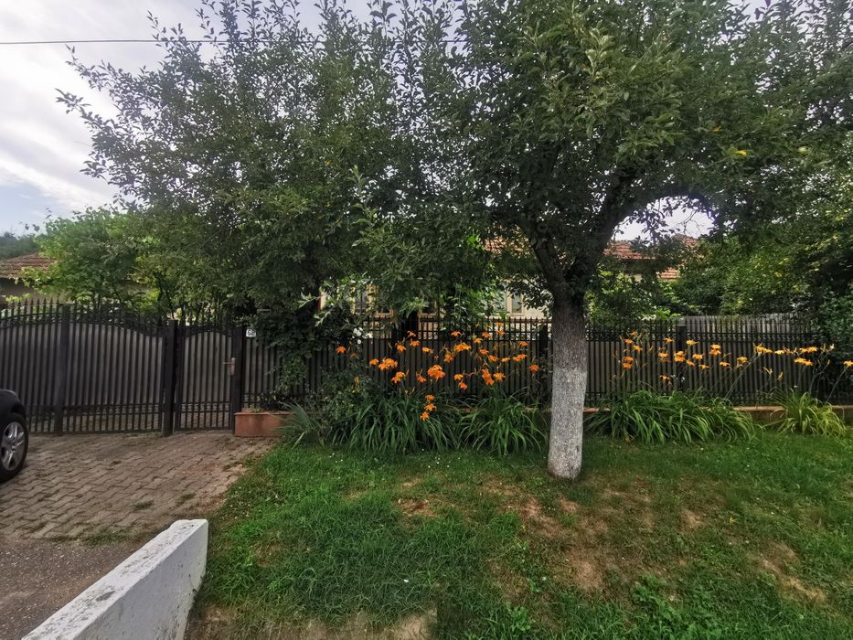 Vand casa cu teren Valea Salciilor