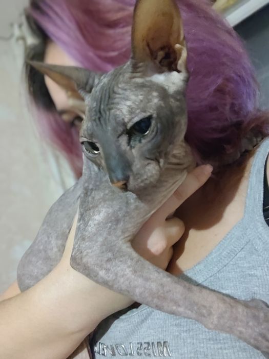 Отдам даром в хорошие руки