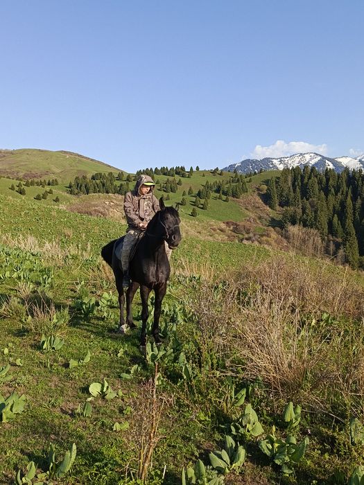 Темур жуманиязов